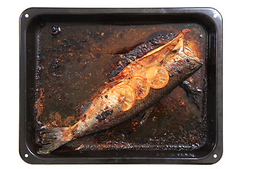 Image showing baked salmon fish