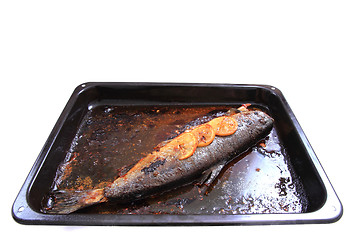 Image showing baked salmon fish