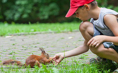 Image showing Little boy and squirrel