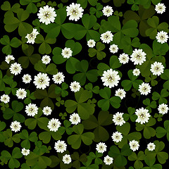 Image showing Clover on black background