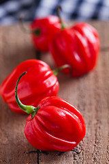 Image showing Red chili peppers