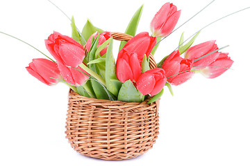 Image showing Spring Tulips