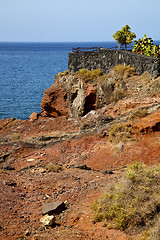 Image showing cactus chain hill coastline 