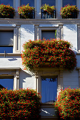 Image showing old wall and flower terrace in the   centre   of city lugano Swi