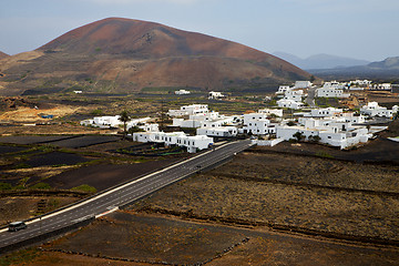 Image showing city cultivation  viticulture 