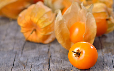 Image showing Physalis fruit