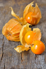 Image showing Physalis fruit