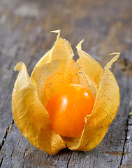 Image showing Physalis fruit