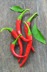 Image showing Red chili peppers 