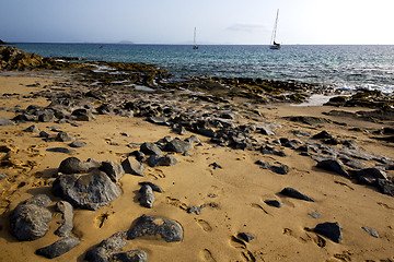 Image showing coastline lanzarote  in spain musk   