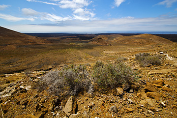 Image showing flower   hill and summer  lanzarote spain plant 