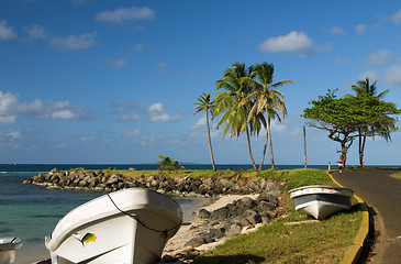 Image showing panga native boats on shore North End Big Corn Island Nicaragua 