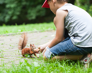 Image showing Little boy and squirrel