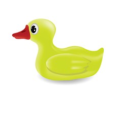 Image showing little duck