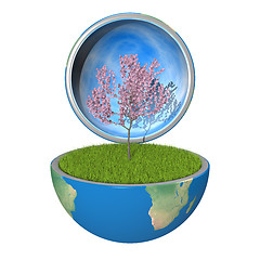 Image showing Tree inside planet