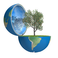 Image showing Fruit tree inside planet