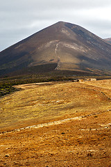 Image showing cultivation home viticulture  winery lanzarote  