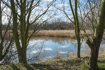 Image showing tree lined lake