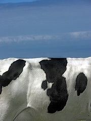 Image showing Cow landscape