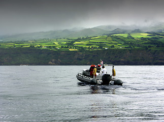 Image showing Boat observing dolphins