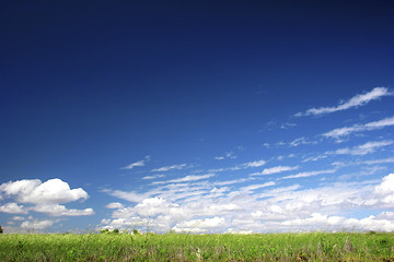 Image showing Green field landscape