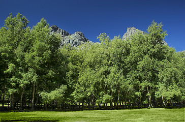 Image showing Mountain landscape