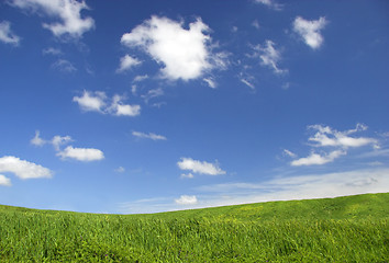 Image showing Green field landscape