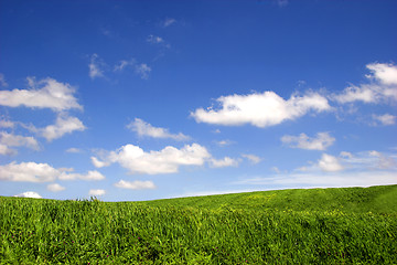 Image showing Green field landscape