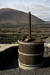 Image showing press viticulture  winery lanzarote spain la geria vine  