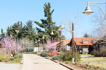 Image showing Springtime alley in the country area