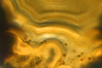 Image showing detail of mineral agate background