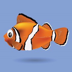 Image showing clownfish