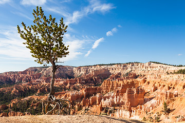 Image showing Bryce Canyon