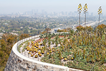 Image showing Cactus Garden