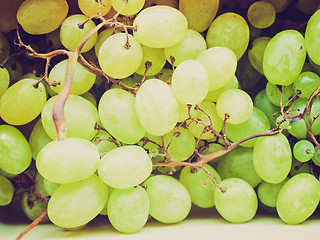 Image showing Retro look Grape picture