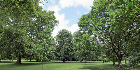 Image showing Kensington gardens, London