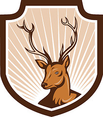 Image showing Deer Stag Buck Antler Head Shield