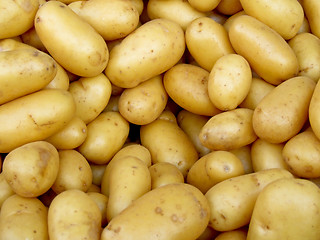 Image showing Potatoes