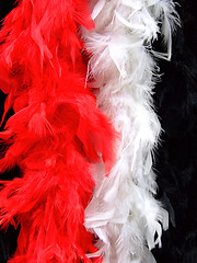 Image showing Fashion feathers