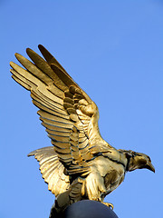 Image showing Golden eagle