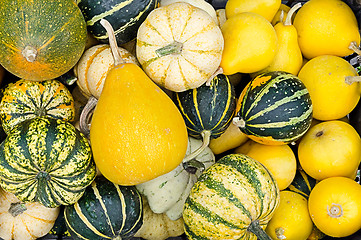 Image showing autumn theme with many gourds, pumpkins