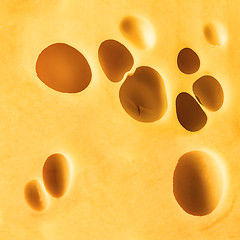 Image showing seamless cheese background