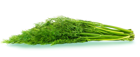 Image showing bunch of fresh dill