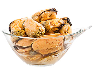 Image showing mussels on white background