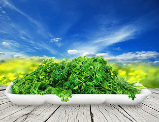 Image showing Bunch of ripe parsley isolated on white background