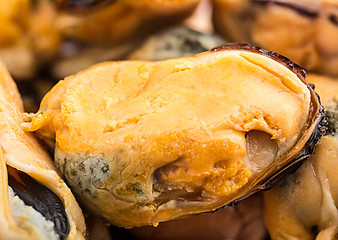 Image showing mussels closeup