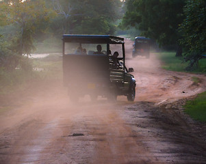 Image showing Evening safari in the savanna