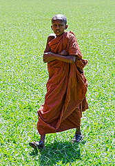 Image showing young Buddhist monk
