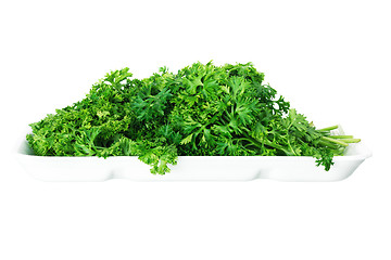 Image showing Bunch of ripe parsley isolated on white background