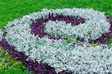 Image showing flower garden 